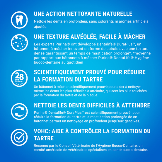 Multipack bâtonnets à mâcher pour chien moyen x42