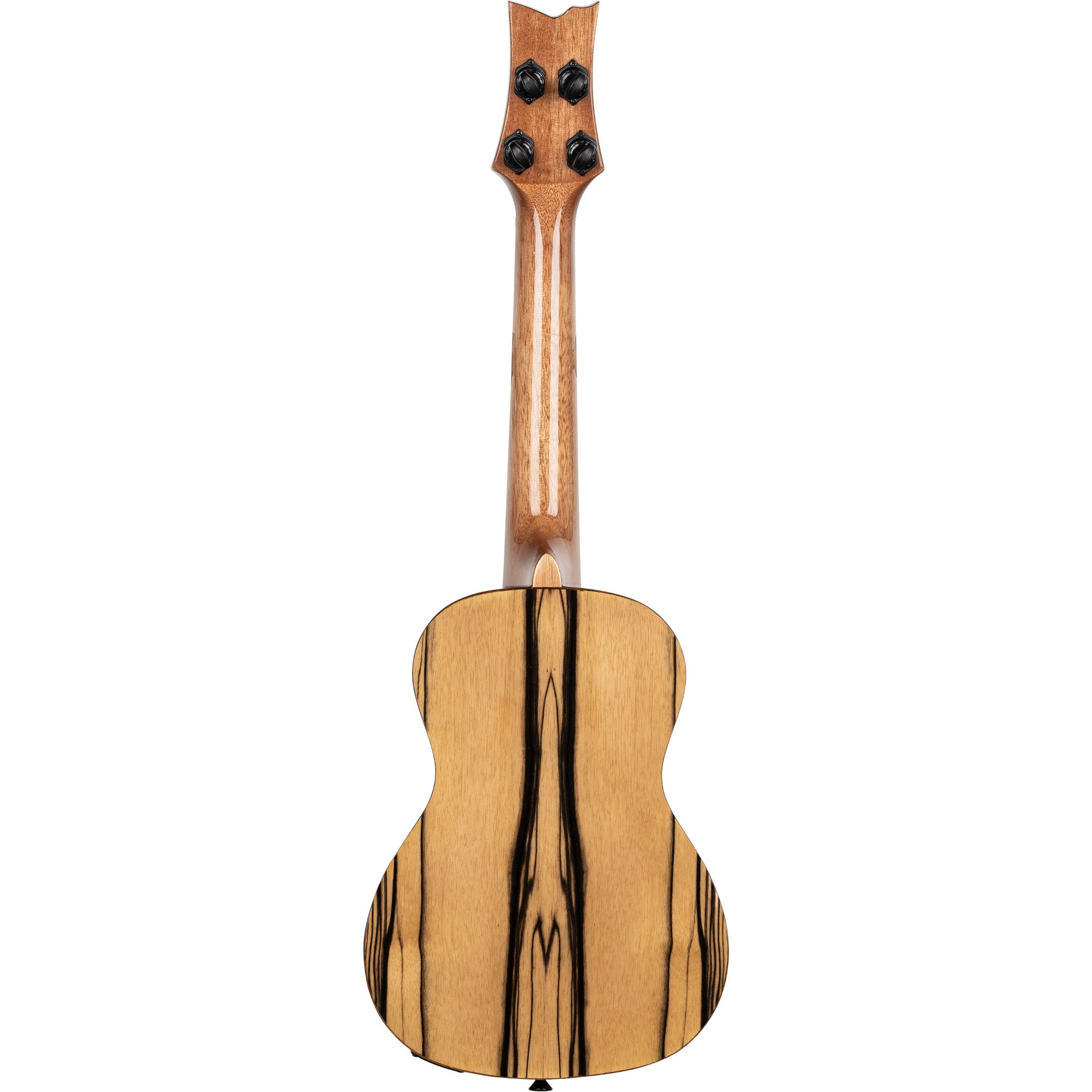 Ortega The Private Room EAGLESUITE-U Concert Ukulele E/A concert ukelele met gigbag