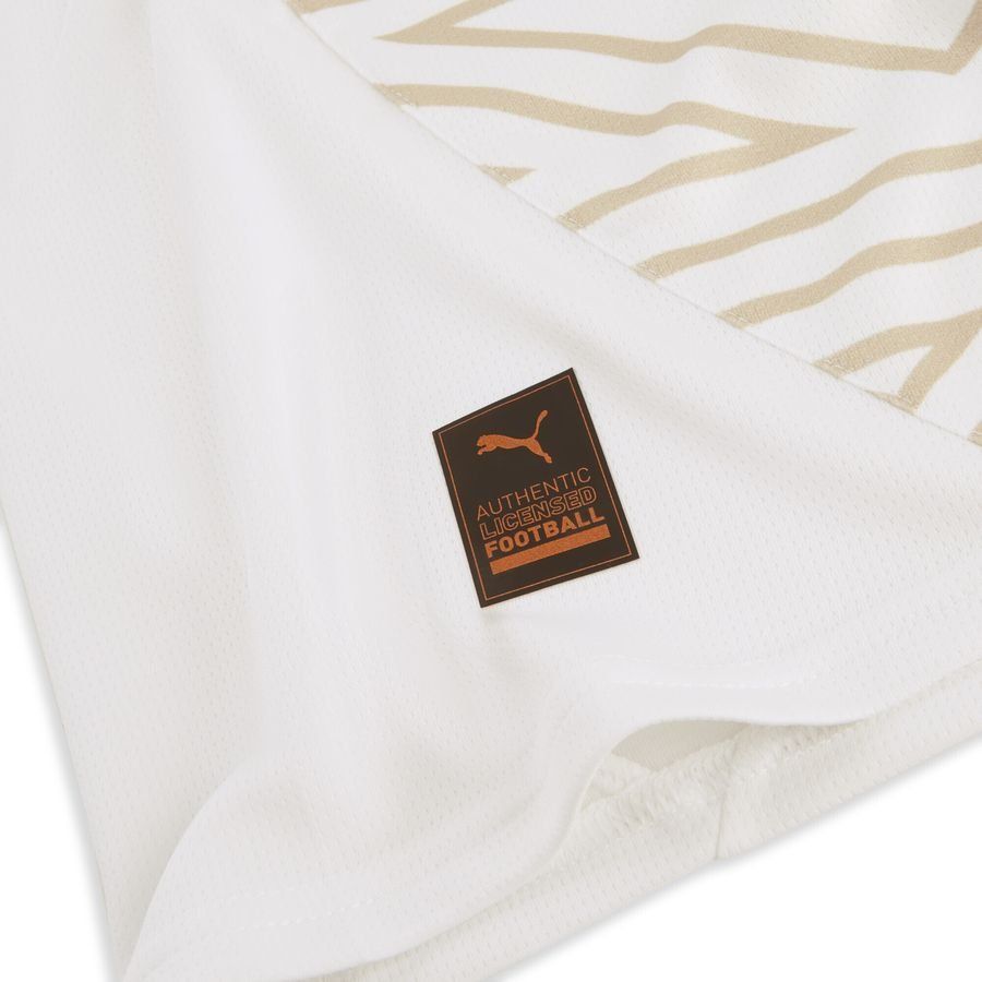 Puma Stade Reims 24/25 Ausweichtrikot