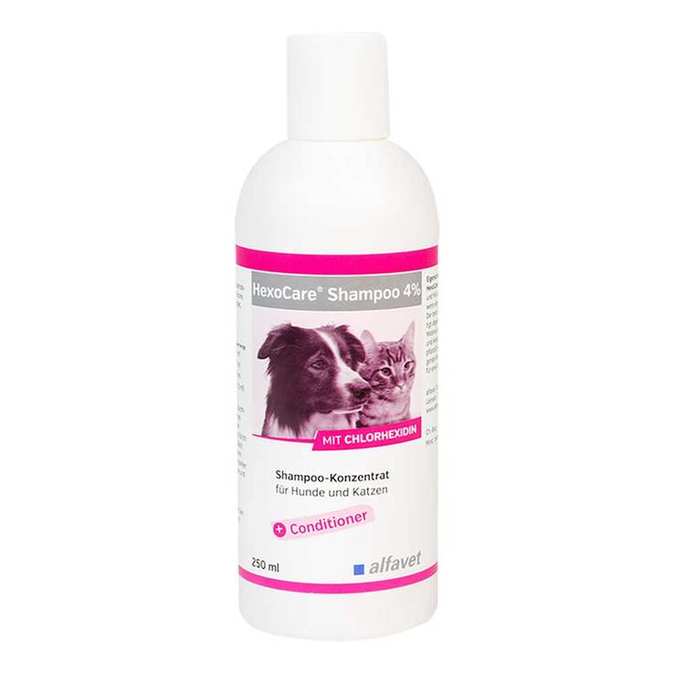 Hexocare Shampoo 4% für Hunde und Katzen, 250 ml