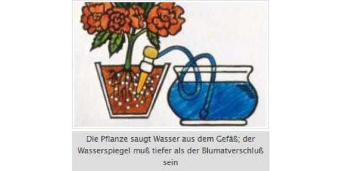 Blumat Endtropfer Hilfe bei der Bewässerung von Zimmerpflanzen, 3 Stück