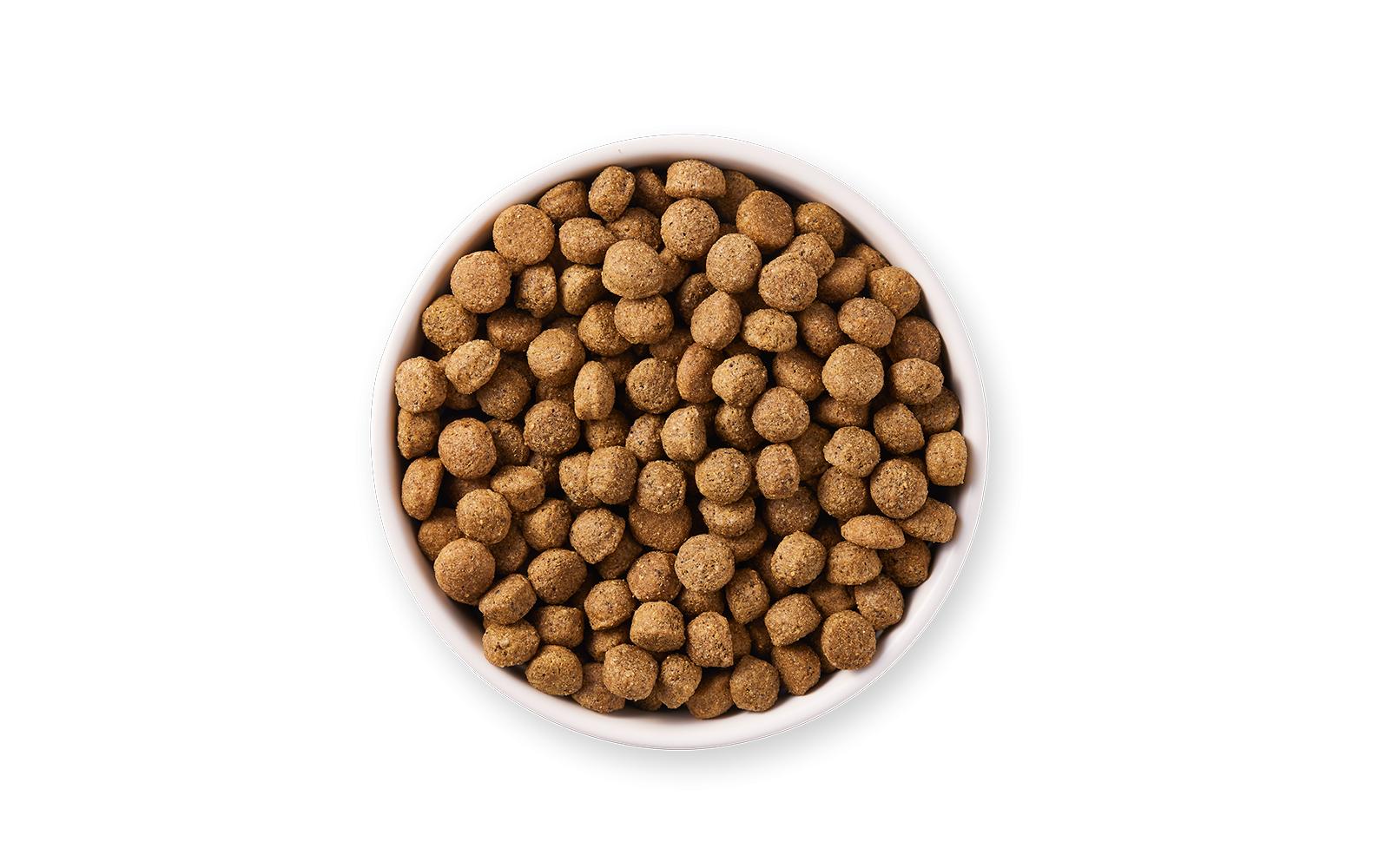 Trockenfutter Bio Sensitive 10 kg<br>Bio-Hundefutter für ausgewachsene Hunde