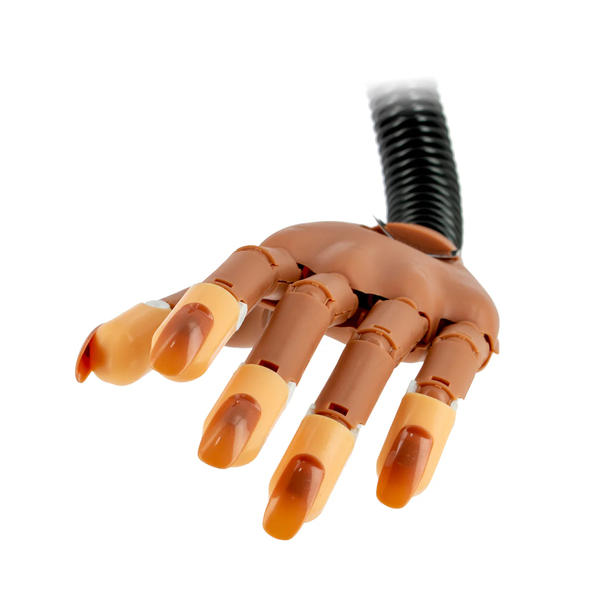 Main d'entraînement articulée flexible   100 ongles