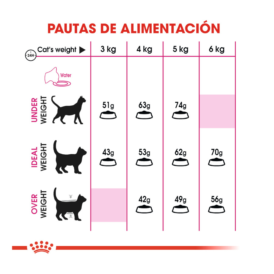 Ração Royal Canin Adult Exigent Savour para gatos