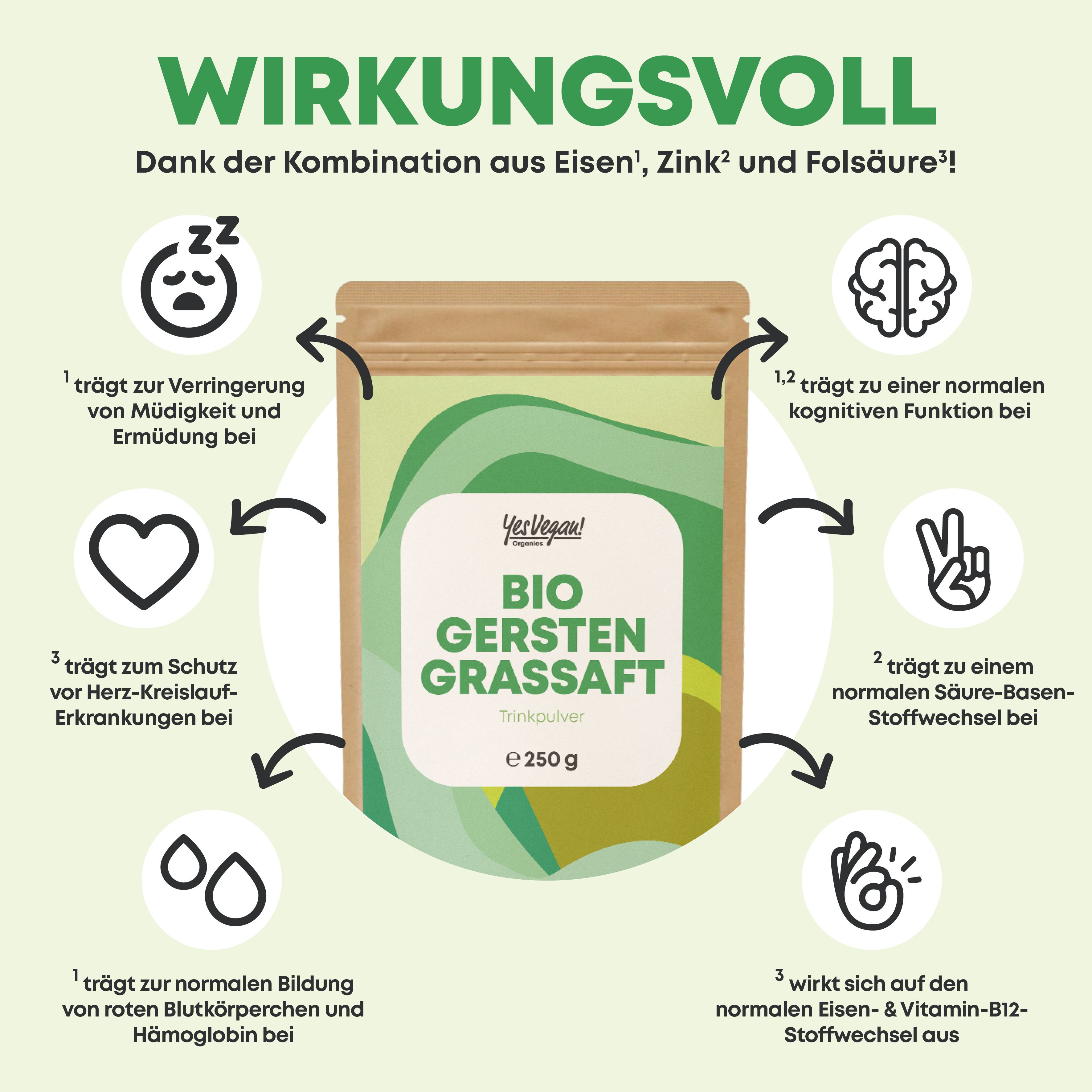 Gerstengrassaft Pulver Bio - 250 g (XL Packung) Gerstengras Pulver aus Kansas