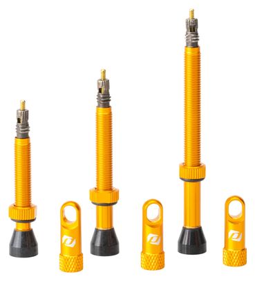 Paire de Valves Tubeless Syncros Presta Orange