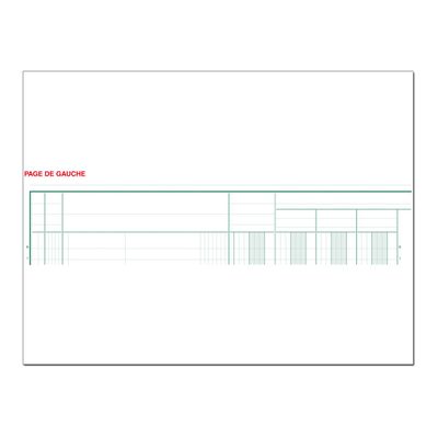 Exacompta - Piqûre comptable - 13 colonnes sur 2 pages - 32 x 25 cm - 80 pages