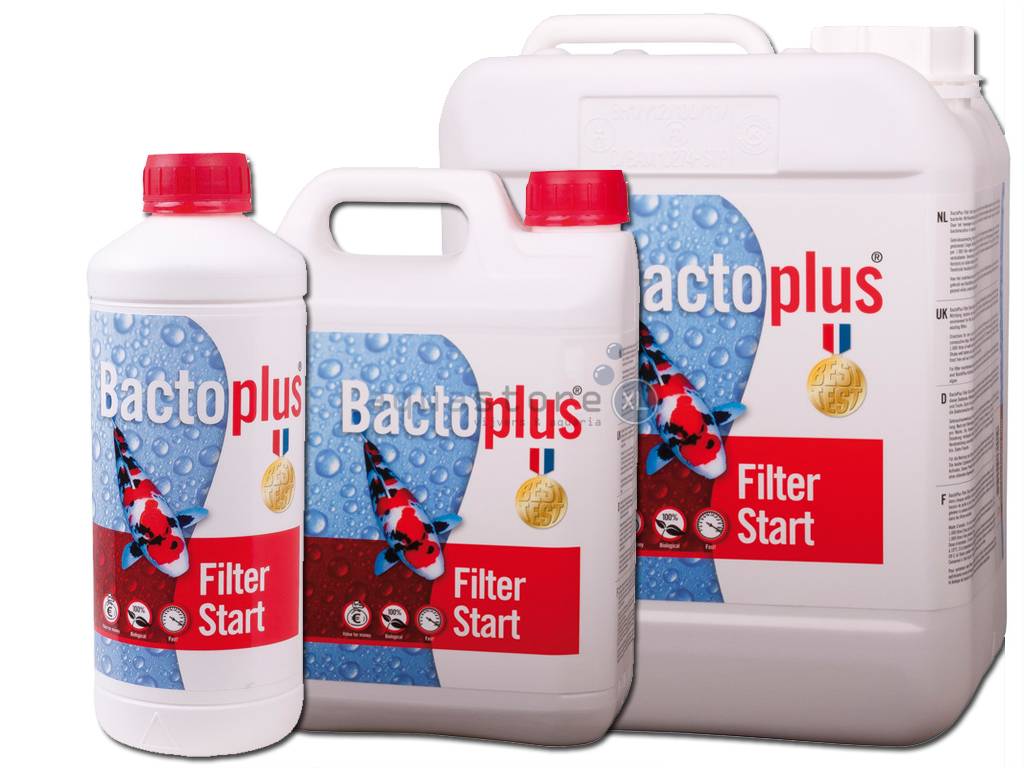 filterstart bacteriën: verkort opstarttijd