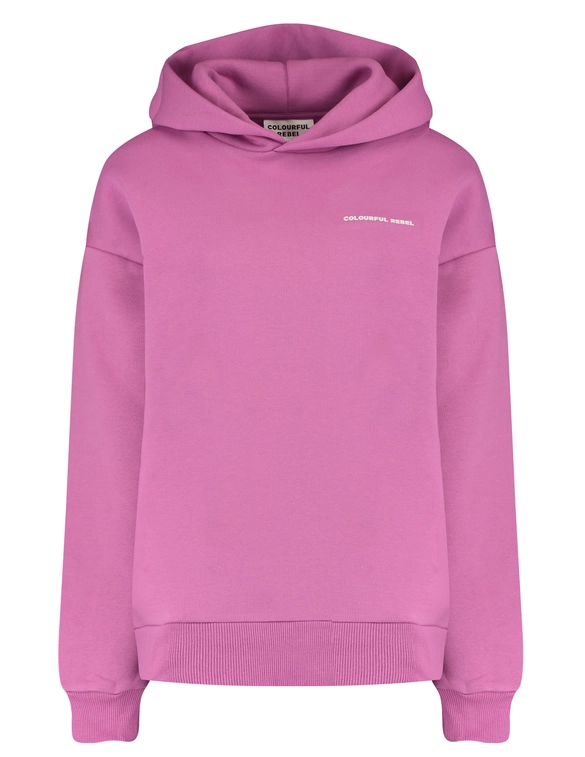 Colourful Rebel Hoodie Rugby WH116851
