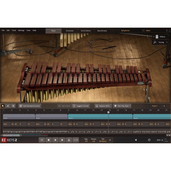 Toontrack EKX Melodic Percussion - Wood