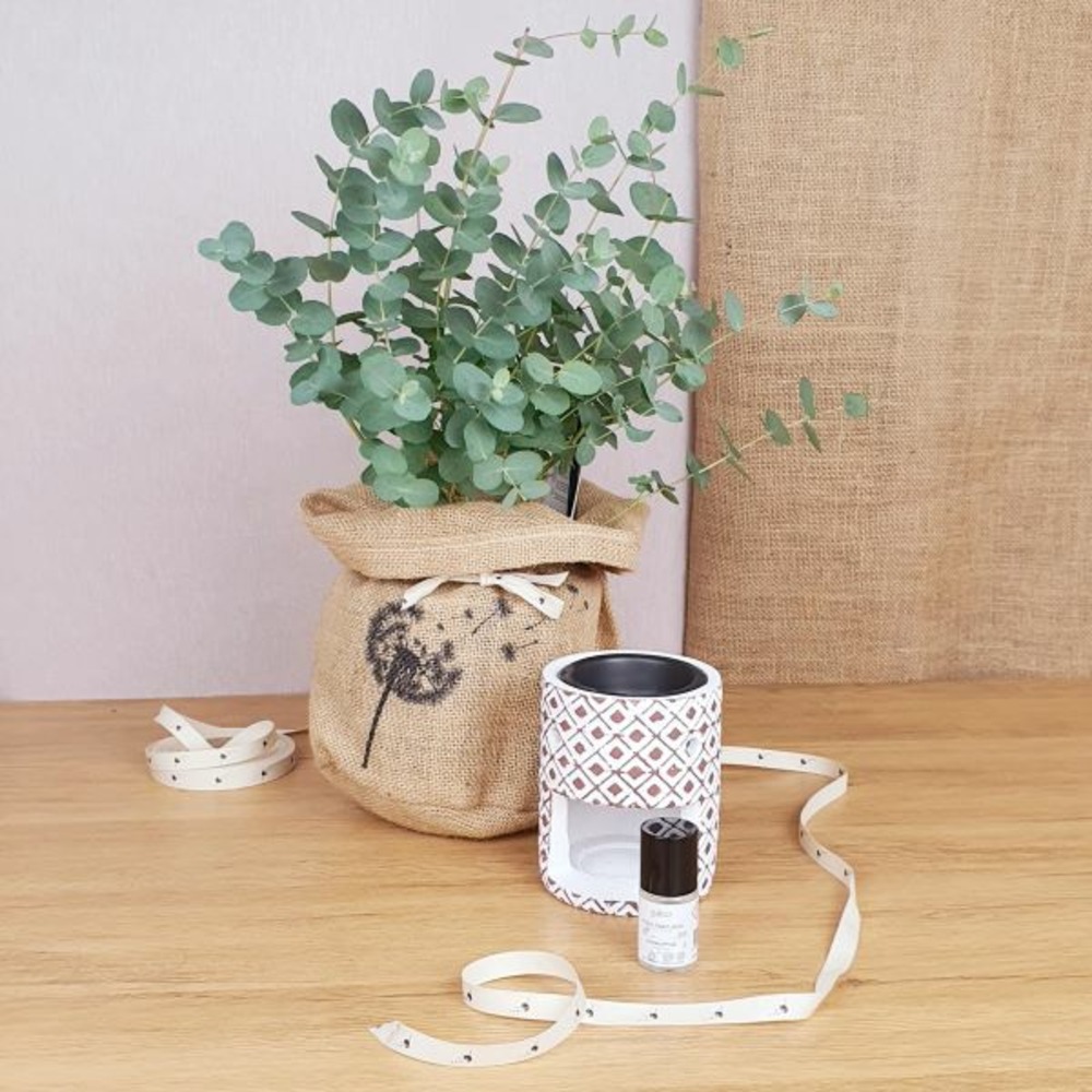 Coffret d'un eucalyptus, son brûle parfum sérénité et huile parfum d'eucalyptus