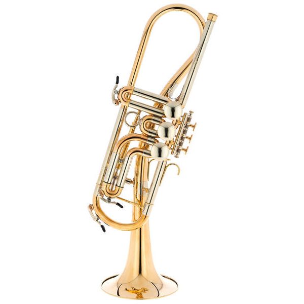 Schagerl Ganschhorn heavy 2021 UL