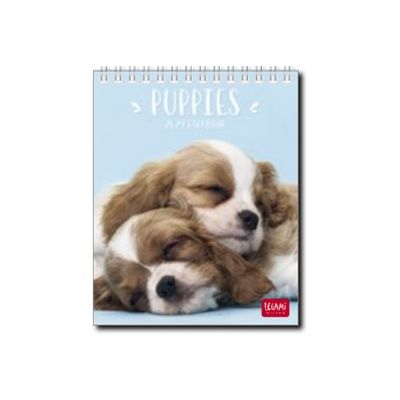 Legami Photo Collection - Calendrier 2024 - 12 x 14,5 cm - chiots