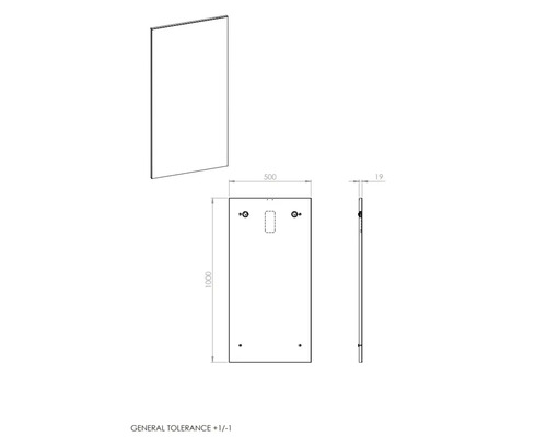 Jungborn badkamerspiegel 50x100x1,9 cm