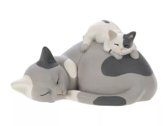 Chat maman et bébé dormeur