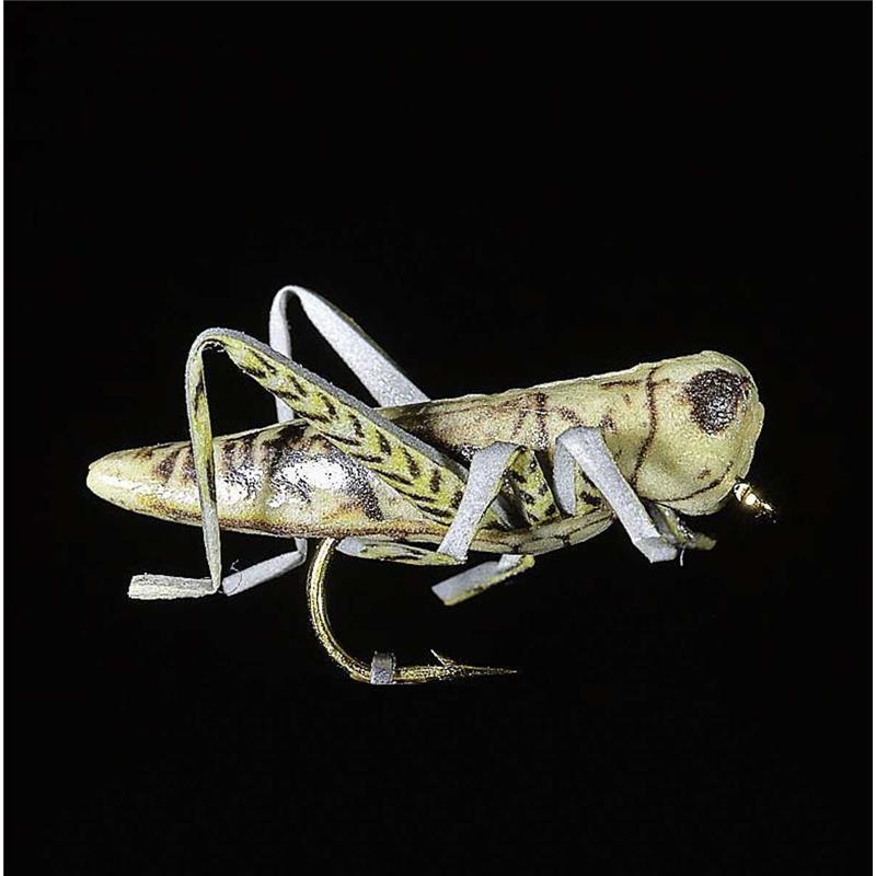 Mouche Jmc Terrestres Sauterelle 20