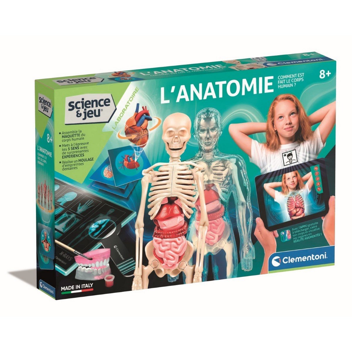 Science et jeu : L'Anatomie