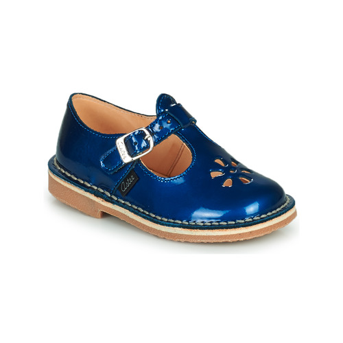 Aster - DINGO - Bleu