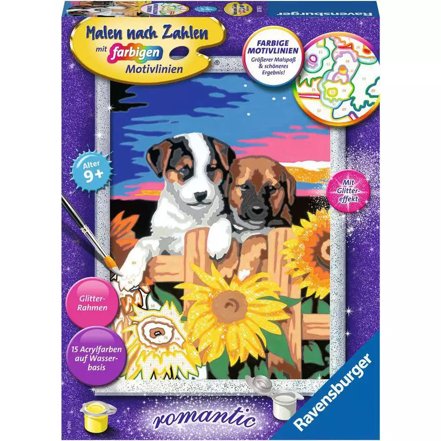 Ravensburger Welpen im Sonnenuntergang bunt