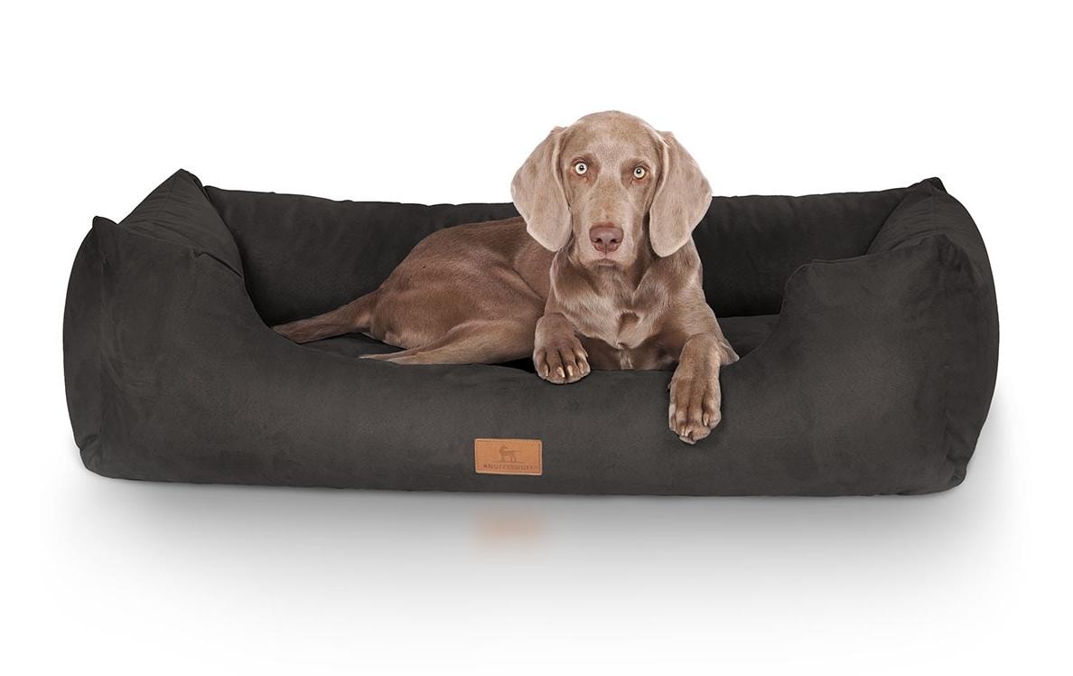 Hunde-Bett Dreamline Velour, M-L, 85 x 63 cm, SchwarzSchlafplatz für Hunde