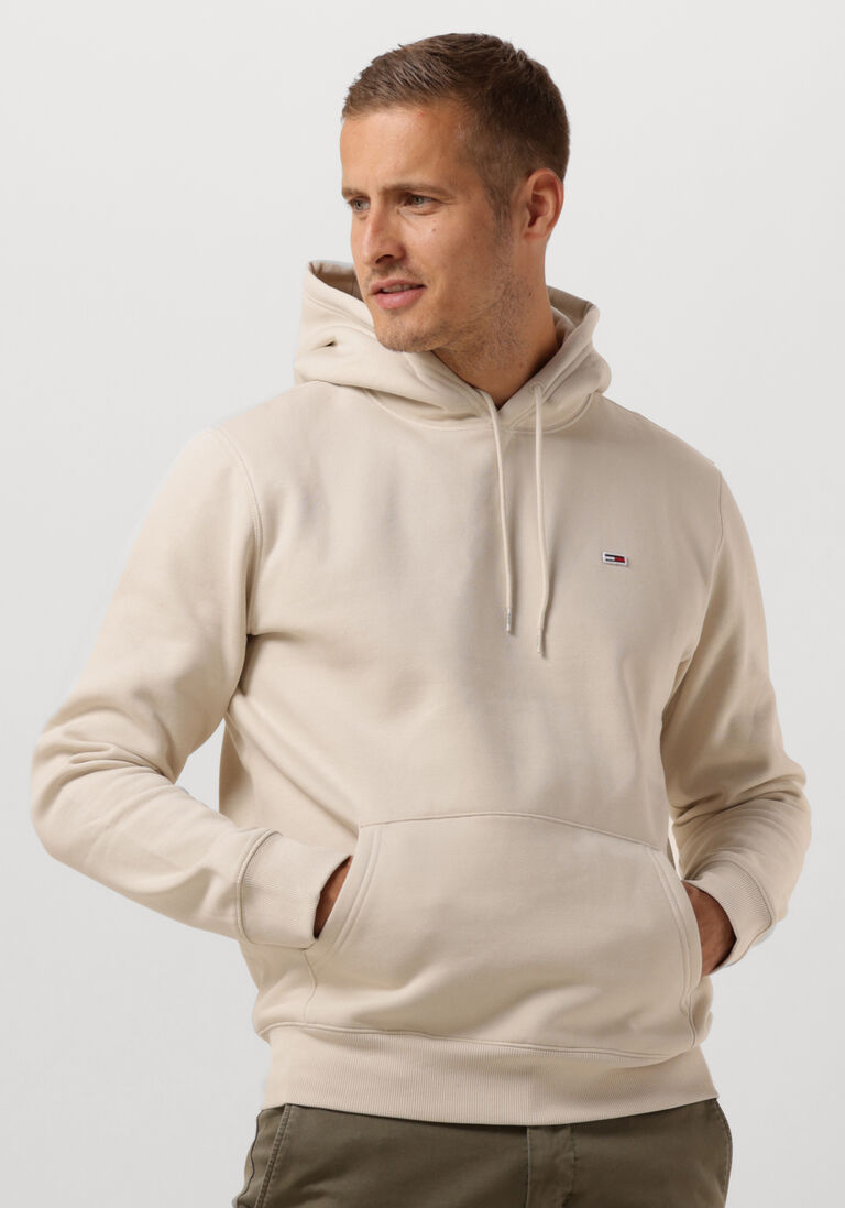 TOMMY JEANS beige tommy jeans sweater tjm regular fleece hoodie