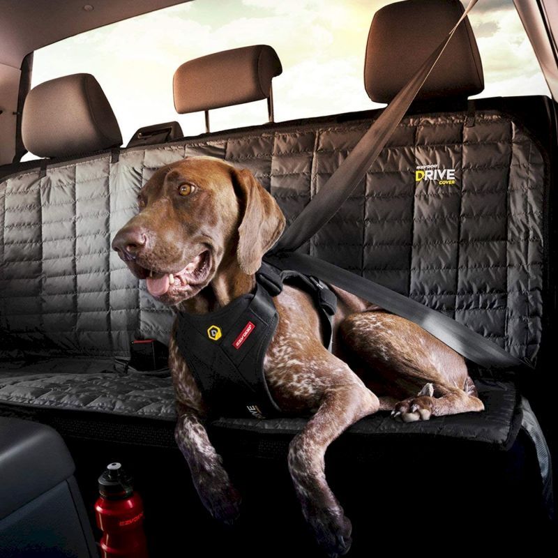 Drive Dog Car Harness - Accessoire pour chien