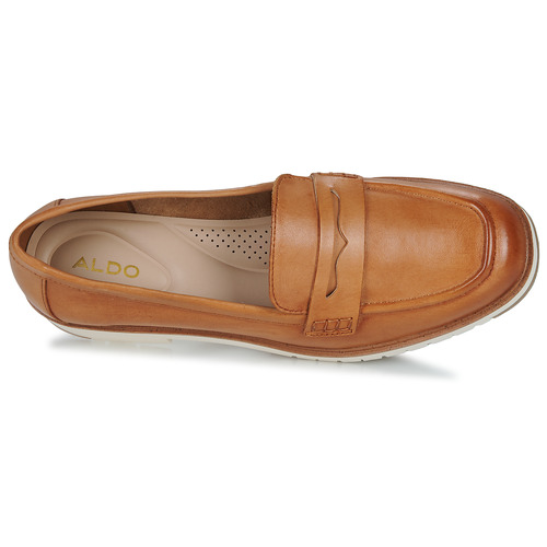 Aldo - IBREDA - Marron