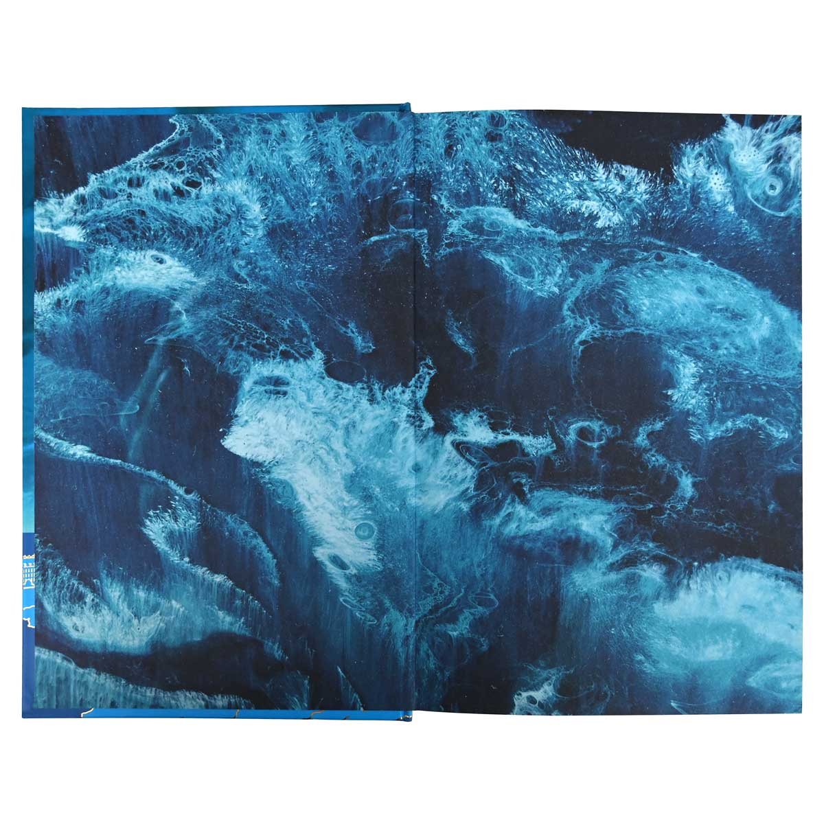 All the Light We Cannot See (Hardback)