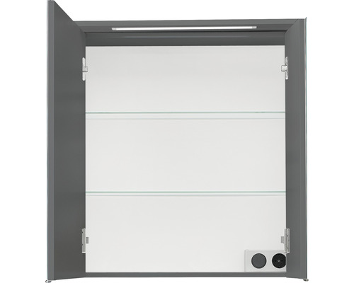 Pelipal xpressline 3261 spiegelkast, 66 x 16 x 72 cm, grijs, 2-deurs, LED