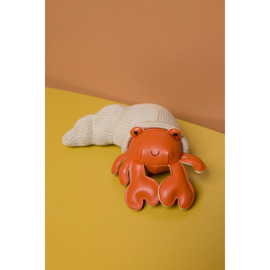 Little Big Friends Die kleinen Freunde - Brigitte der Einsiedlerkrebs