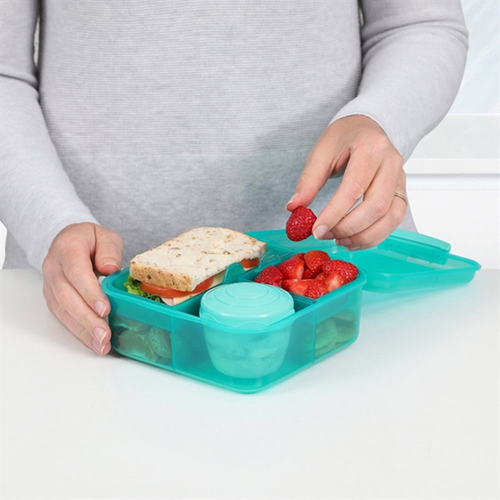 Køb Sistema Bento Cube Madkasse 1,25 L Teal