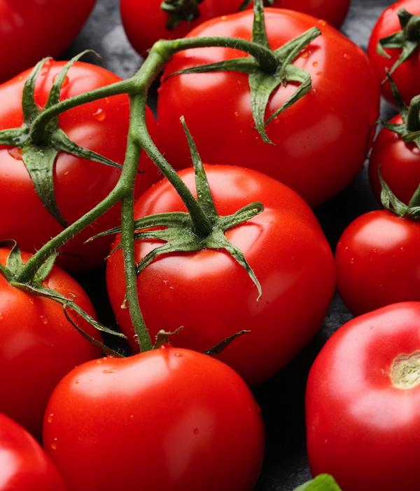 Dehner Bio-Saatgut Salattomate 'Matina'