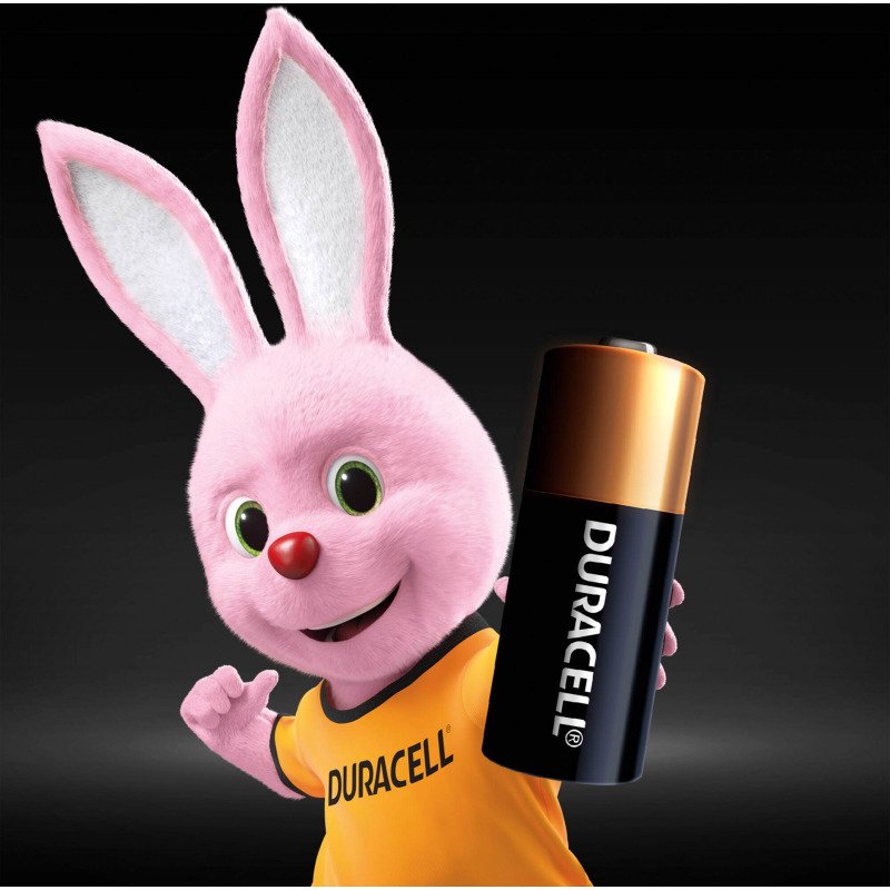 Duracell MN21 - Pack de 2 piles bâton Alcalines MN21 - 12V