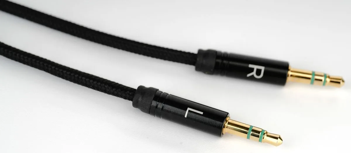 HiFiMAN Arya Organic Casques hi-fi