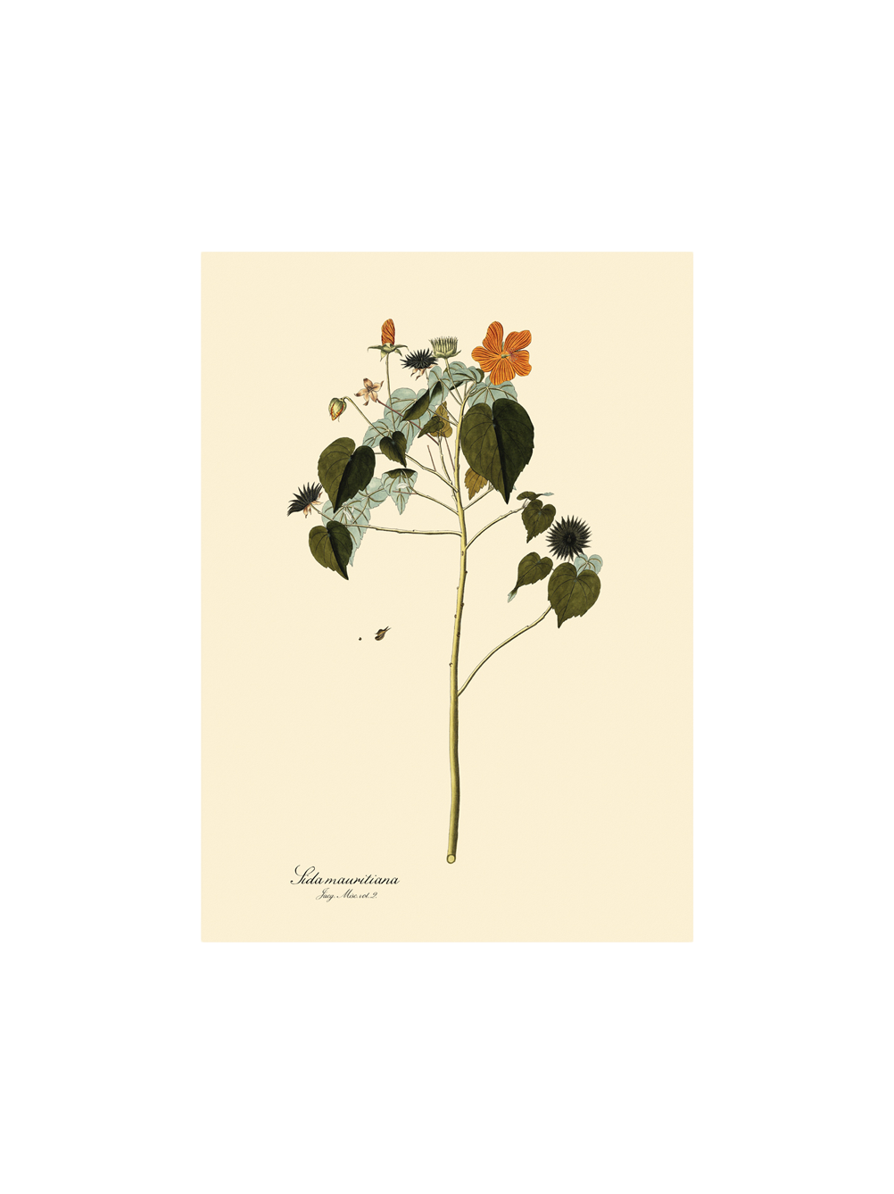 Plakat A3 | Papir. 29,7 x 42 cm.  | Multi | The Dybdahl Co.
