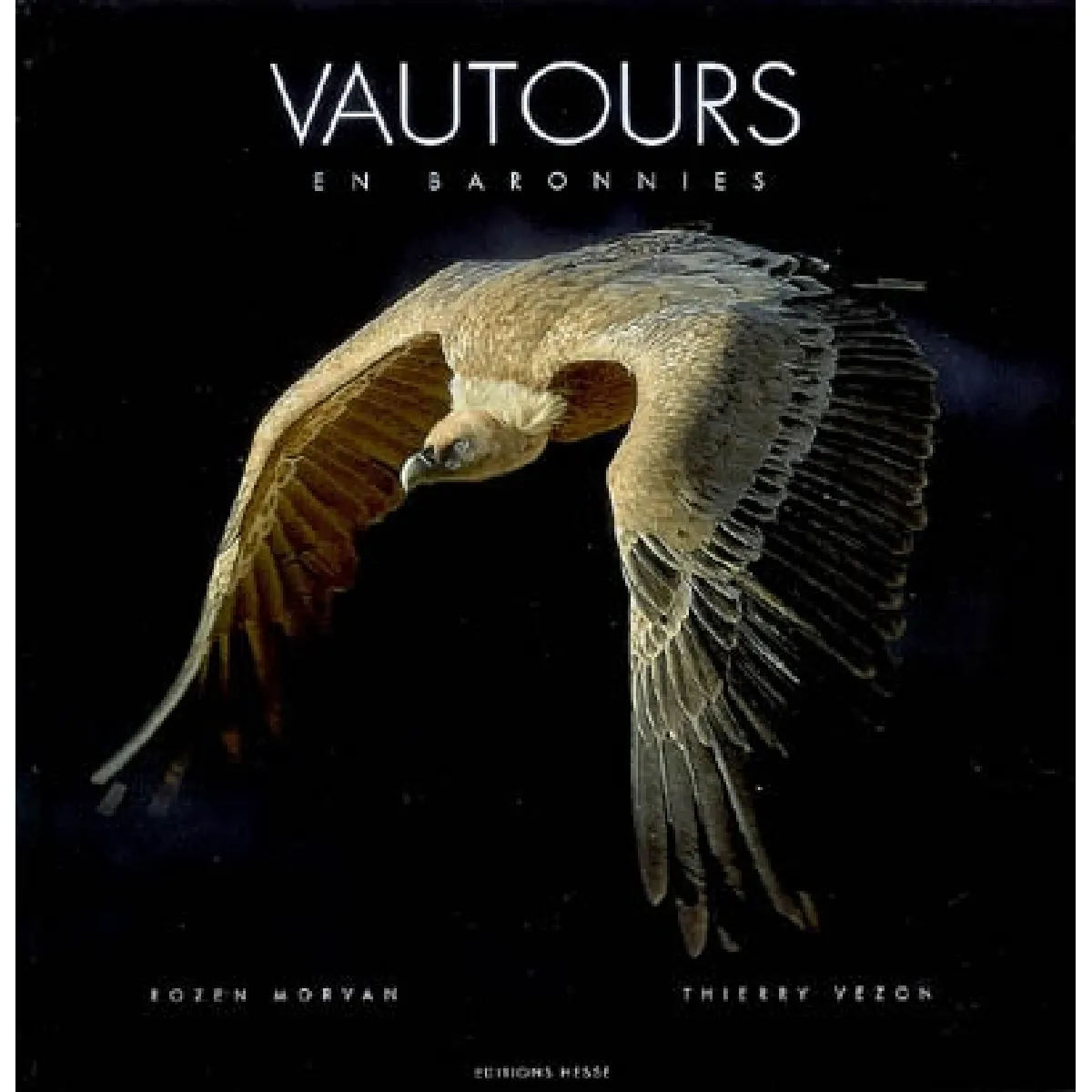 Vautours en Baronnies · Occasion
