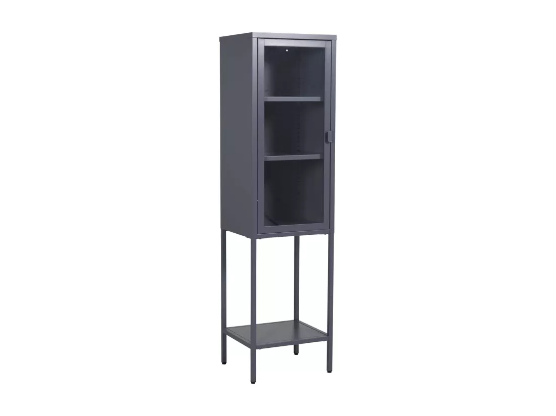 Vitrine Avec Porte en Verre 