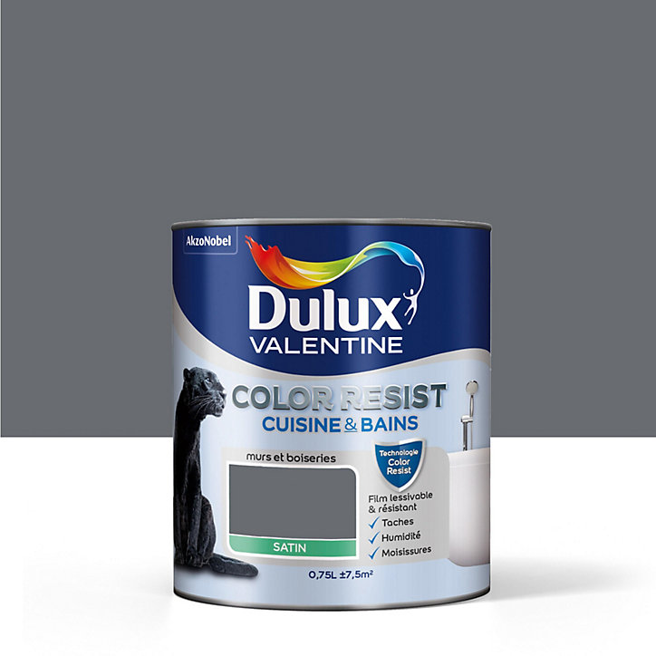 Peinture cuisine et salle de bains Dulux Valentine Color Resist anthracite satin 0,75L