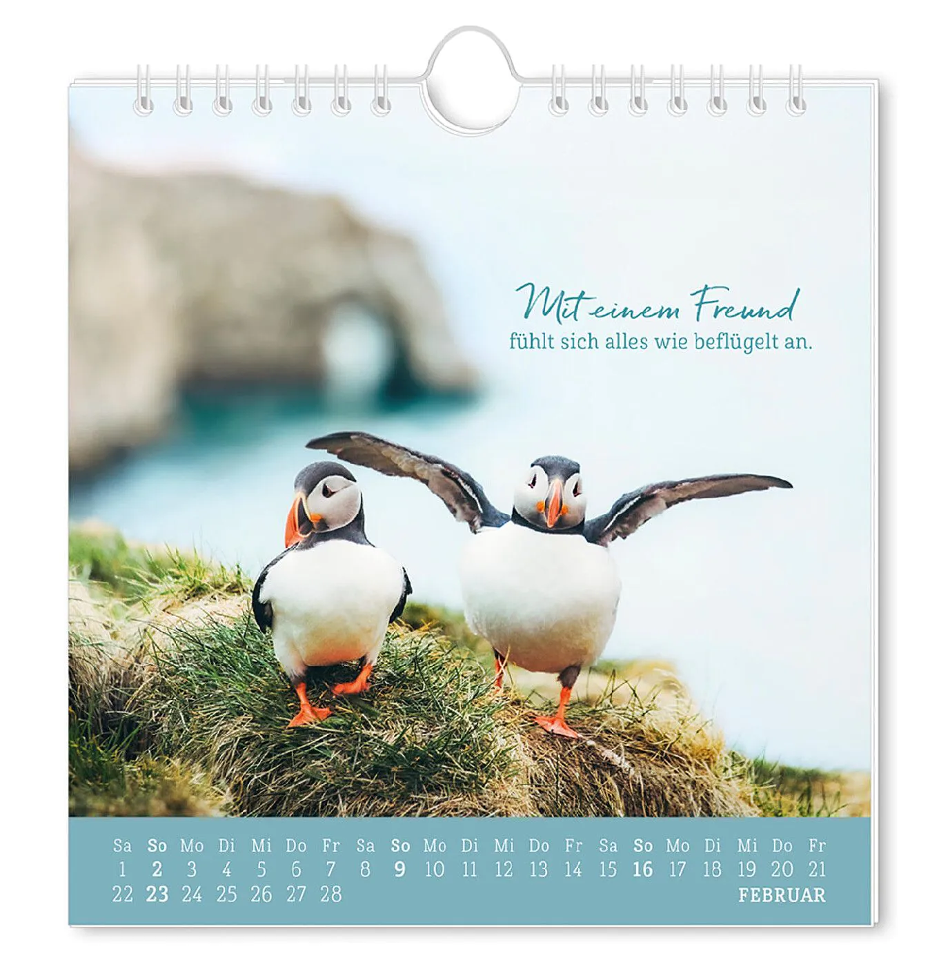 Postkarten Kalender, 2025, Strandgut
