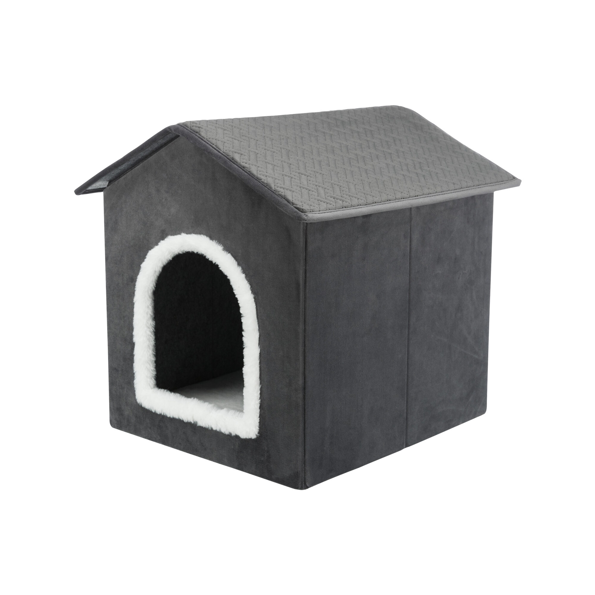 Trixie Livia Schuilplaats Hond