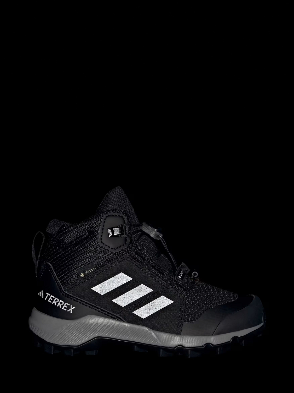 Adidas Terrex Mid Gore-Tex Hiking Shoes