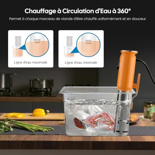 INKBIRD WiFi Thermoplongeur Sous Vide ISV 101W, Cuisson Basse Température 1000W: Écran TFT, Cuisson De Réservation App, Protection Du Niveau D'eau, Avertissement De Température, 0℃~95℃, Réglable 0,1℃ : Cuisine et Maison