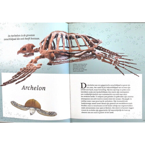 Uitgeverij lannoo het dikke boek van alle bijzondere dino's