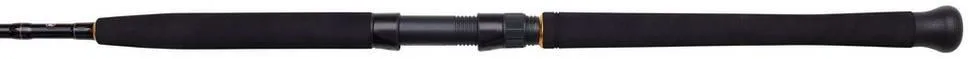 Penn Penn Wrath II Boat Spinning Combo