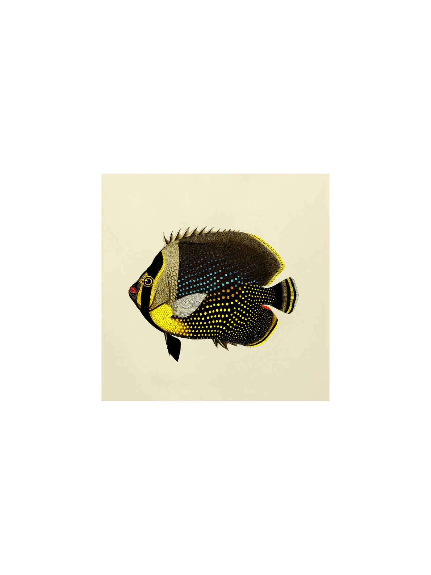 Plakat 24 x 24 | Papir. 24 x 24 cm.  | Multi | The Dybdahl Co.