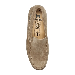 algoras  Vel. 9837  TAUPE