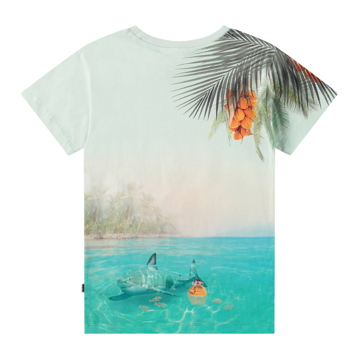 Raul - Leo On Surf