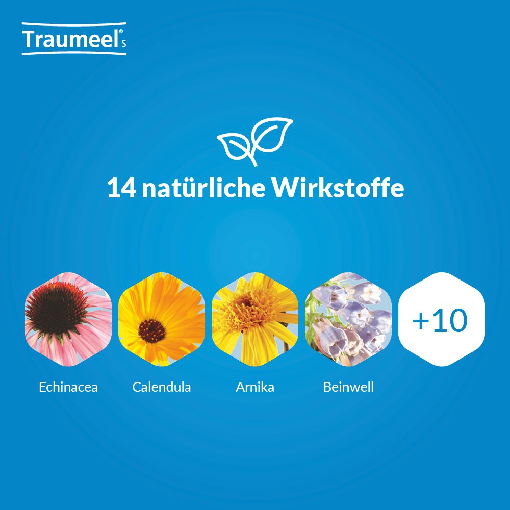 Traumeel® S Tabletten & Creme