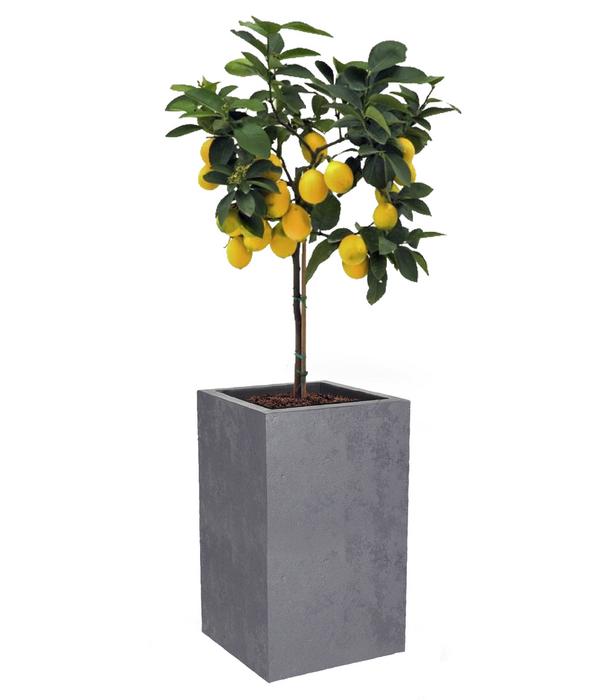 EDA Kunststoff-Topf Basalt Up, quadratisch,