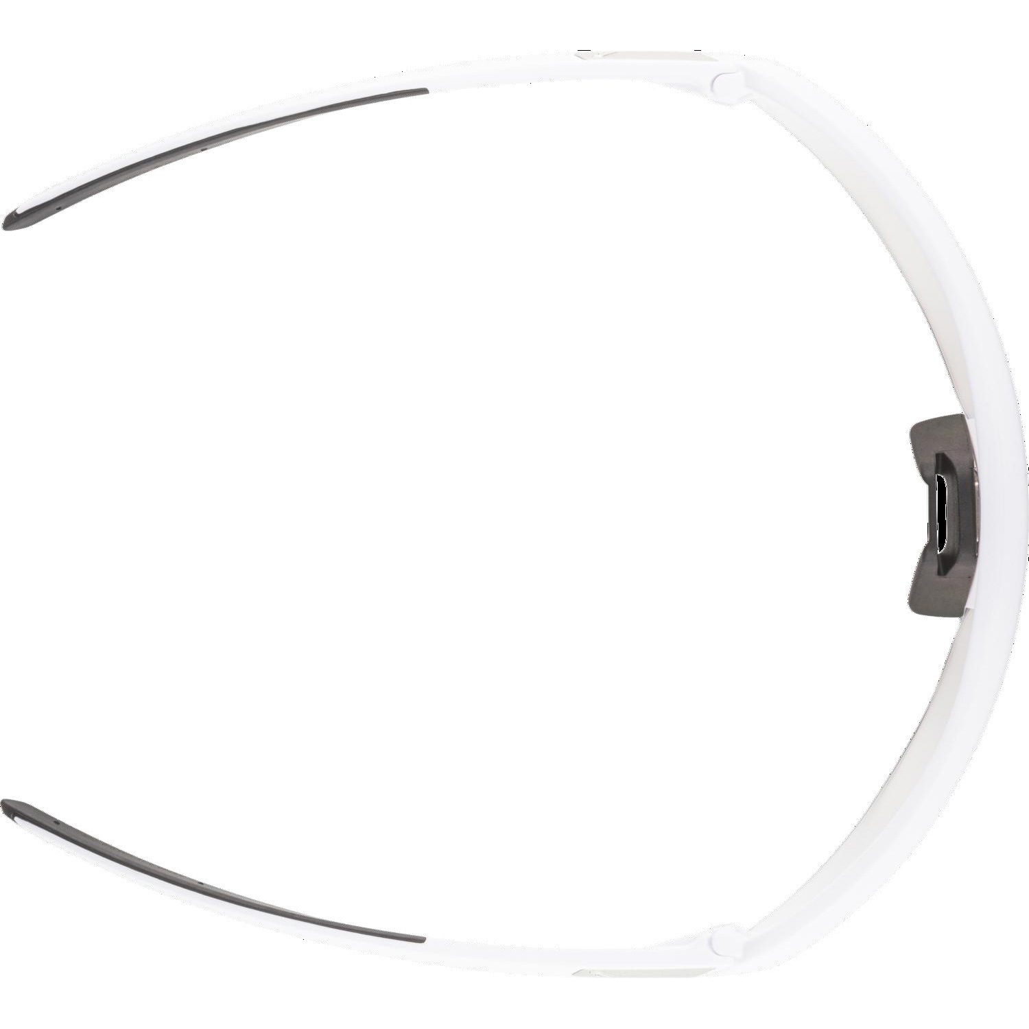 Alpina Turbo Pro V Sportbrille white matt